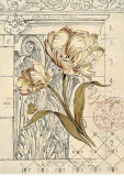 Tulip Etching