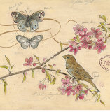 Nature's Observations II