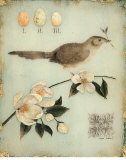 Blossom Recollection