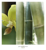 Bamboo III
