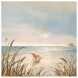 Beach Cottage