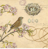 Nature's Observations I