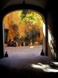 Courtyard Plants and Motorcycle  Rome  Italy