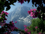 Positano and the Amalfi Coast through Bougainvilla Flowers  Italy