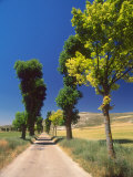 Pilgrimage Road  El Camino de Santiago de Compostela  Castile  Spain
