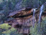 Middle Emerald Pool Stream with Cottonwood Leaves  Zion National Park  Utah  USA