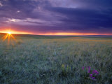 Prairie Sunset near Culbertson  Montana  USA