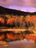 Small Pond and Fall Foliage Reflection  Katahdin Region  Maine  USA