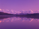 Evening Light on Alaska Range from Wonder Lake  Denali National Park  Alaska  USA