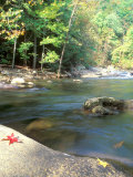 Bald River  Cherokee National Forest  Tennessee  USA