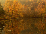 Autumn Reflections on Pond  Missouri  USA