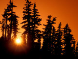 Orange Sunset in the Wilderness Around Mt Jefferson  Oregon Cascades  USA