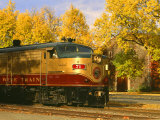 Napa Valley Wine Train Rolls through Rutherford  California  USA