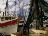 Shrimp Boats Tied to Dock  Darien  Georgia  USA