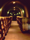 Wine Cave at the Pine Ridge Winery on the Silverado Trail  Napa Valley  California  USA