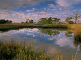 Reflection of Clouds on Tidal Pond in Morning Light  Savannah  Georgia  USA