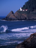Crashing Waves and Sea Lions  Heceta Head Lighthouse  Oregon  USA