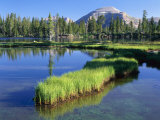 Peninsula  Margo Lake in Ashley National Forest  High Uintas Wilderness  Utah  USA