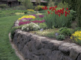Ferris Perennial Garden  Spokane  Washington  USA
