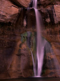 Oasis in the Dry Desert  Utah  USA
