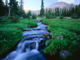 Agassiz Peak in the Distance  Stillwater Fork of Bear River Drainage  High Uintas Wilderness  Utah