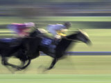 Thoroughbred Horse Racing at Churchill Downs  Louisville  Kentucky  USA