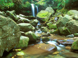 Grotto Falls  Great Smoky Mountains National Park  Tennessee  USA