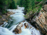 Crystal River  Gunnison National Forest  Colorado  USA