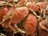 Fresh Crab in Pike Street Market  Seattle  Washington  USA