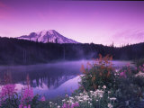 Reflection Lake with Summer Alpine Wildflowers  Mt Rainier National Park  Washington  USA