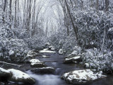 Cosby Creek in Winter  Great Smoky Mountains National Park  Tennessee  USA