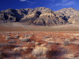 Death Valley National Park  California  USA