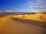 Mesquite Flat Sand Dunes  Death Valley National Park  California  USA