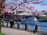 Boat on the Willamette River  Portland  Oregon  USA
