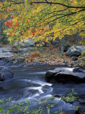 Packers Falls on the Lamprey River  New Hampshire  USA