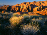 View into Snow Canyon at Sunrise  Snow Canyon State Park  Utah  USA