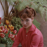 Portrait of Actress Elsa Martinelli