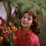 Portrait of Actress Elsa Martinelli