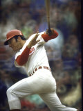 Cincinnati Redlegs' Catcher Johnny Bench at Bat