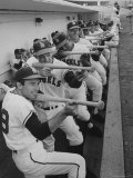 Los Angeles Angels Players Albie Pearson and Bill Moran in Dugout at Stadium During Practice