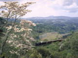 Narrow Gauge Rail Line Transporting Goods Between Guatemala and El Salvador