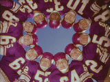 Minnesota Vikings Football Team