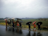 Schoolchildren and Parents under Umbrellas from Spring Rain on Road Between Osaka and Kyoto