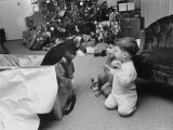 Raymond and Susie McFarland Looking at Their New Airedale Puppy Leaning Out of a Christmas Gift Box