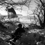 American Soldier Peering Across Snowy Field During Counter Offensive Known as Battle of the Bulge