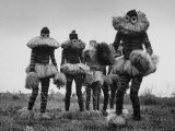 Bopende Tribesmen of the Western Congo During Initiation of Boys Into Their Tribal Society