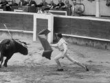 Spanish Matador Luis Miguel Dominguin Making Pass at Charging Bull During Bullfight