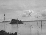 Valley and Trees Submerged by Overflow of Chagres River from Construction of Panama Canal