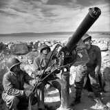 Air Force Soldiers Manning Anti Aircraft Gun at Base During Allied Campaign in North Africa  WWII