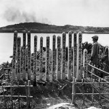 Smoke Rises from US Navy Shelling of Sesoko Island next to Graves of Japanese Soldiers